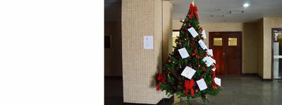 Imagem: Pegue a cartinha de uma criança na árvore de Natal