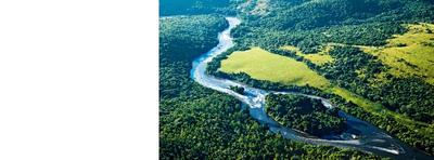 Imagem: Amazônia: Reserva Nacional de Cobre e seus Associados