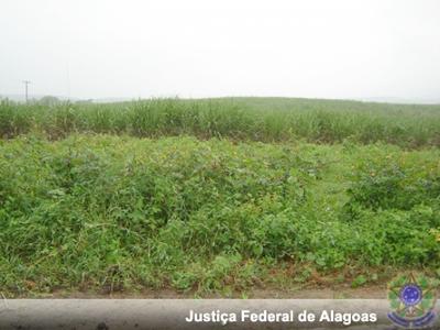 Imagem: Terreno para sede própria já foi doado pela prefeitura