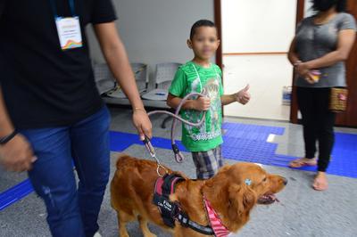 Imagem: Cãoteraia é uma forma de contribuir com o tratamento do Transtorno do Espectro Autista